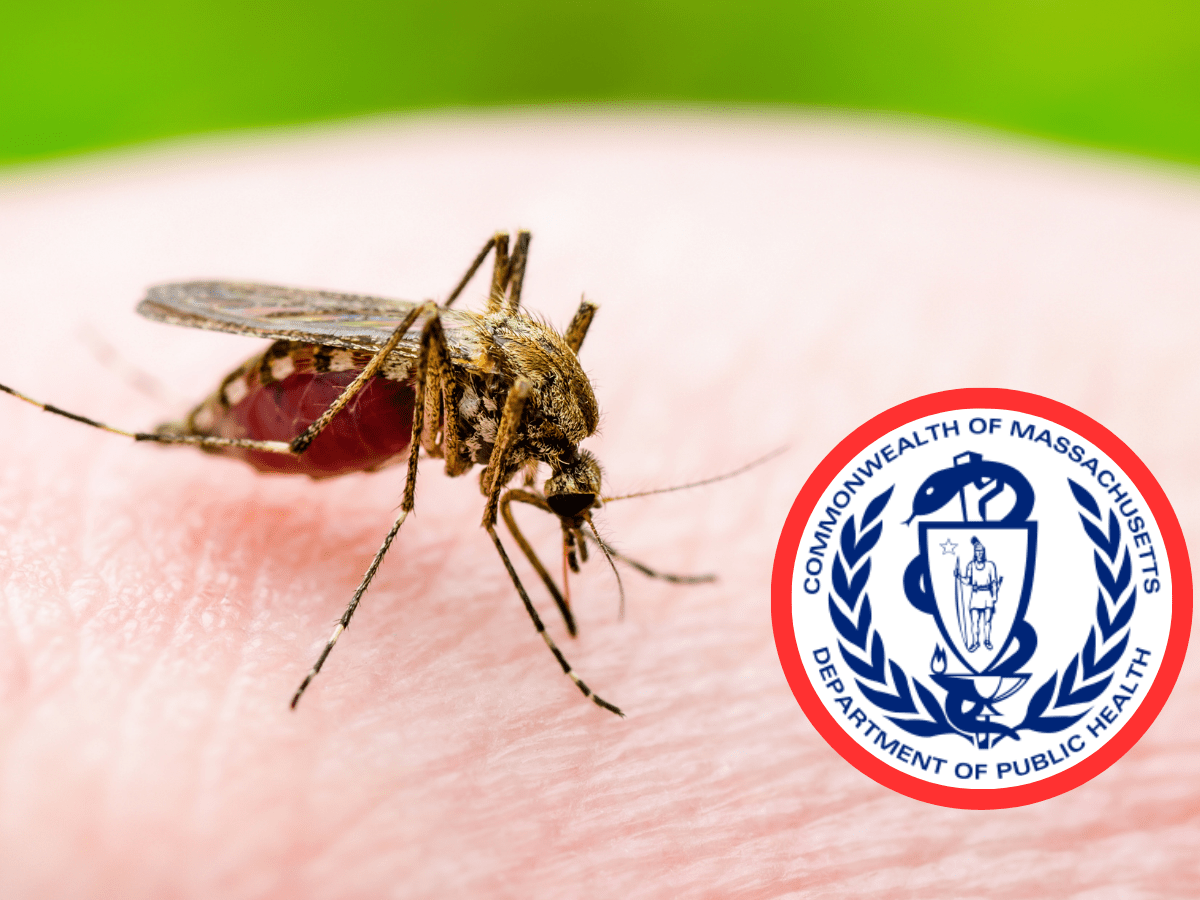 Massachusetts Reports Sixth West Nile Virus Case in&nbsp;2023