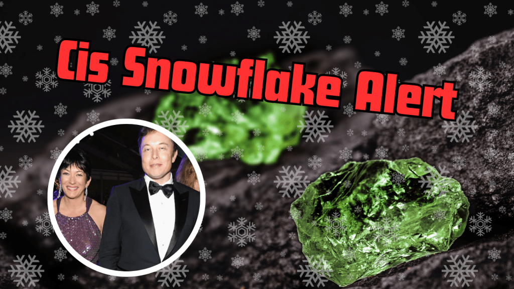 Elon musk with Ghislaine Maxwell, "Cis Snowflake Alert" background of emeralds, snowflakes overlaid