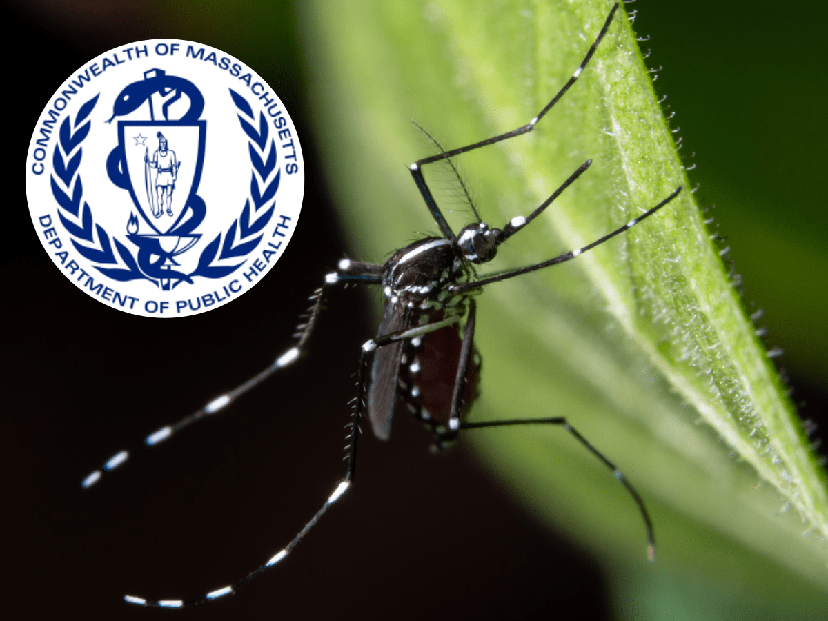 Massachusetts Reports Fifth Case of West Nile Virus for the&nbsp;Year
