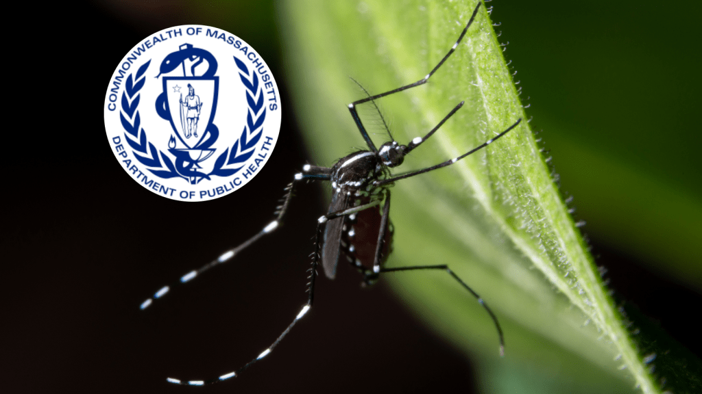massachusetts department of public health emblem with mosquito in background