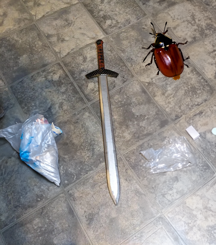 alston christmas sword with bedbug and trash