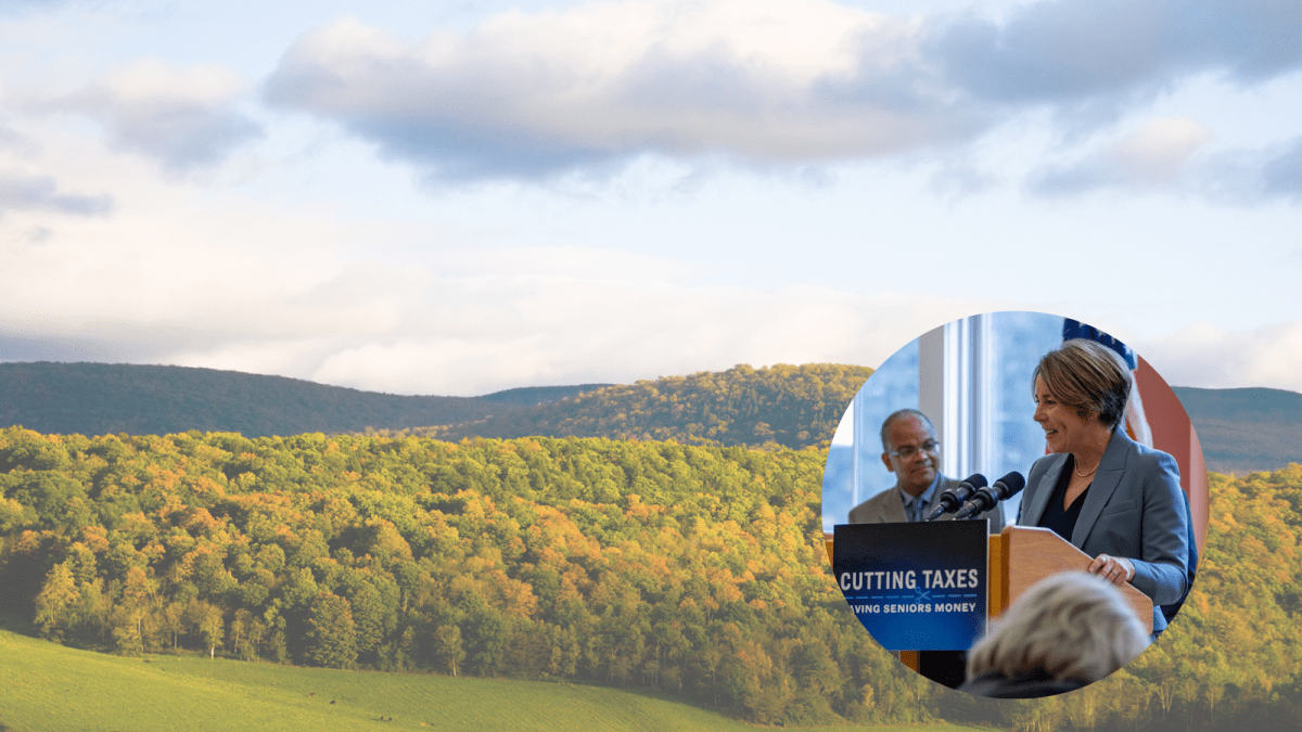 Massachusetts Invests $50M in Climate-Oriented Forest&nbsp;Management