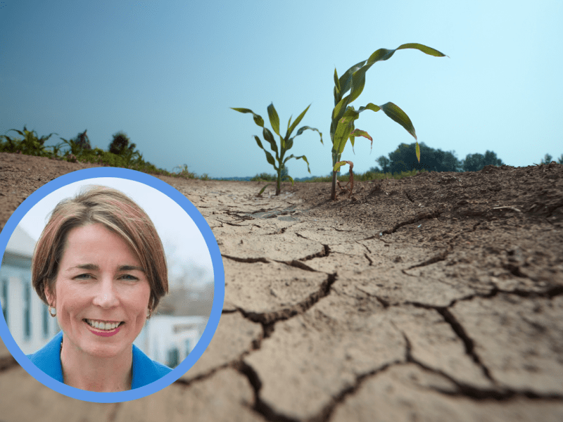 Massachusetts Awards Nearly $500K for Drought Resiliency&nbsp;Projects